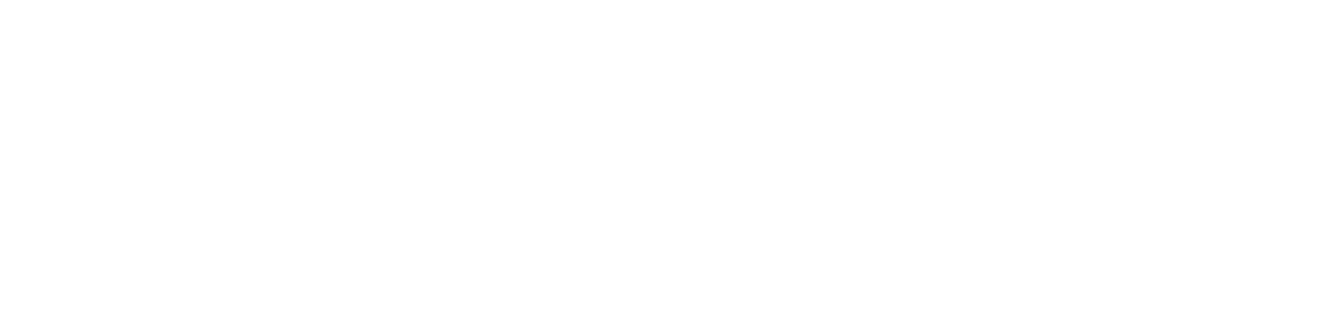 Sweepro Brush
